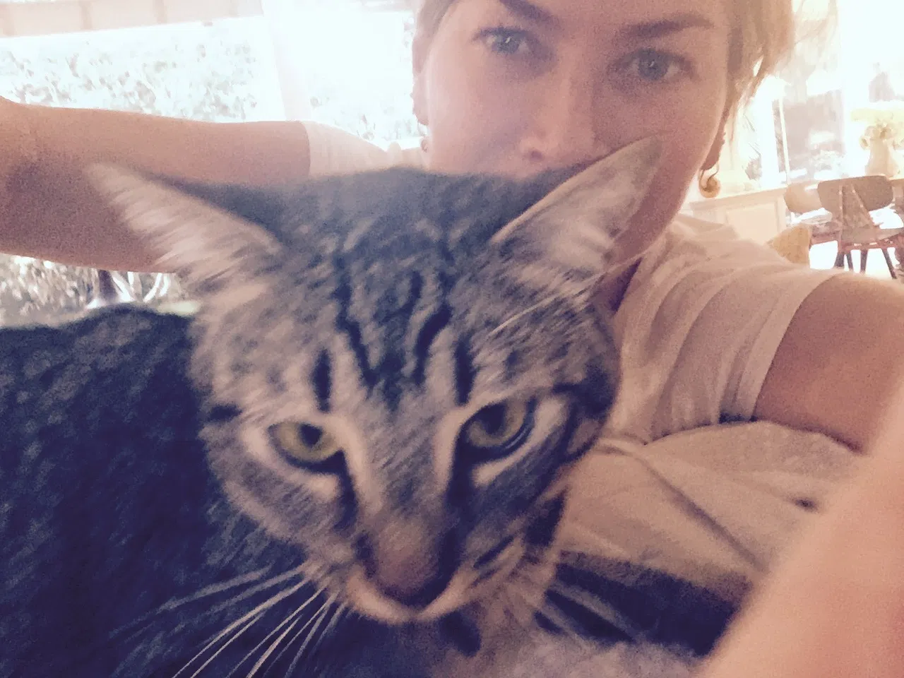 Lost cat in Boulder, CO, 80302