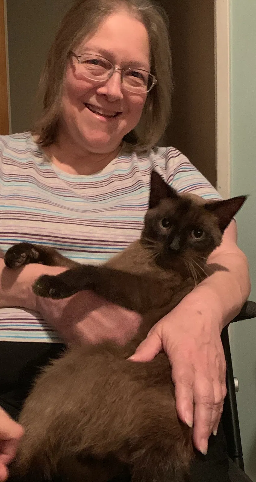 Found cat in Hartland, WI, 53029