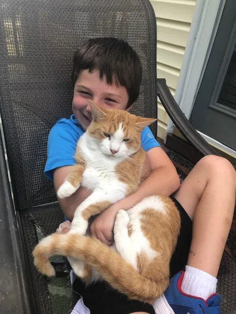 Lost cat in Chesterfield, VA, 23832