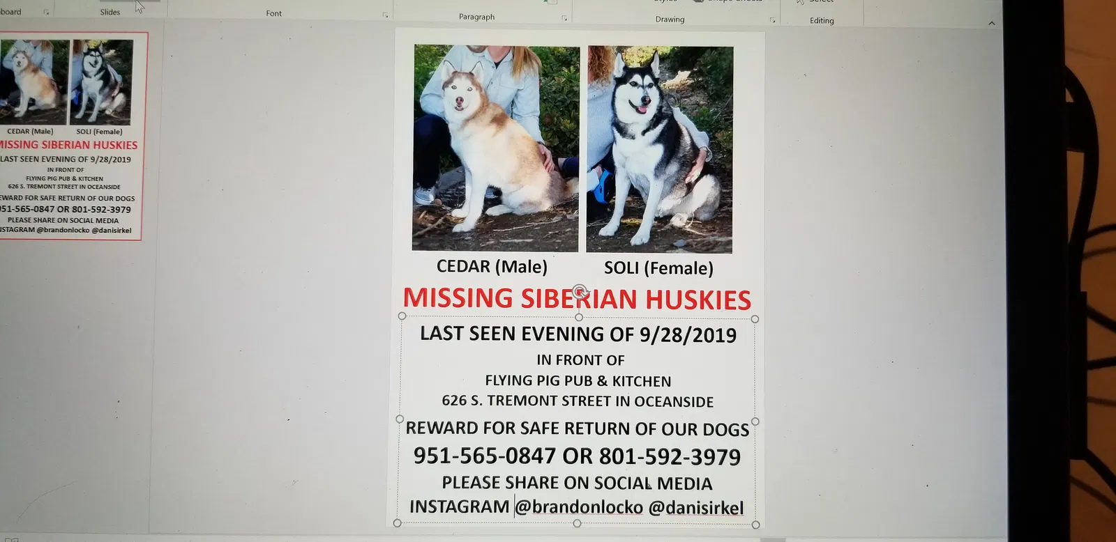 Lost dog in Oceanside, CA, 92054