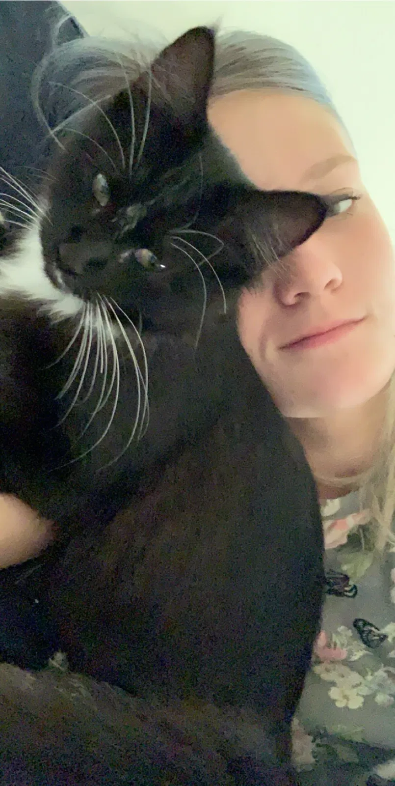 Lost cat in Amarillo, TX, 79109
