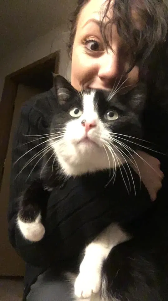 Lost cat in Puyallup, WA, 98374