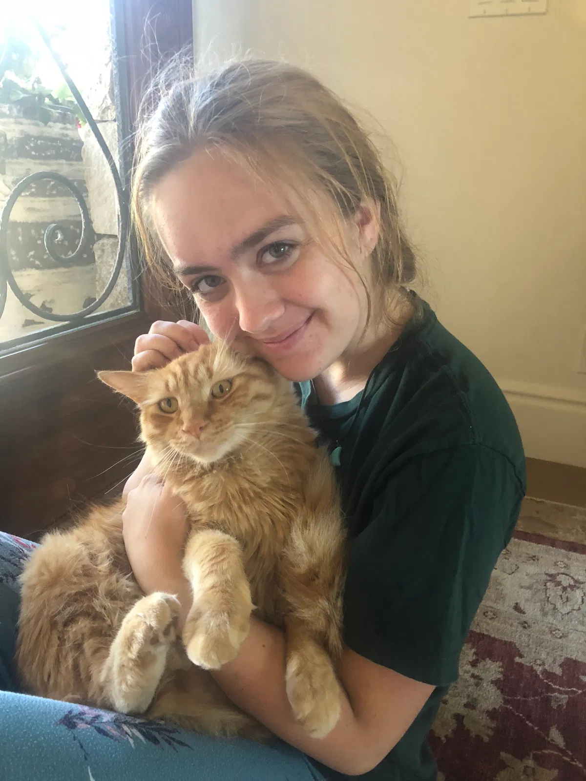 Lost cat in Lakeside, CA, 92040
