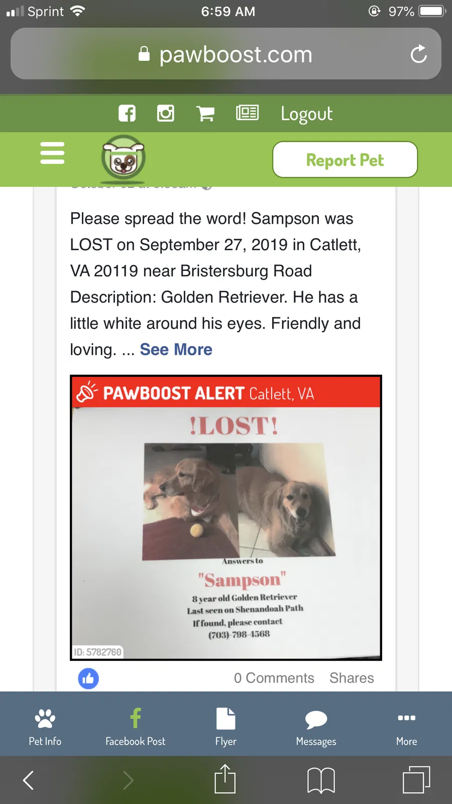 Lost dog in Catlett, VA, 20119