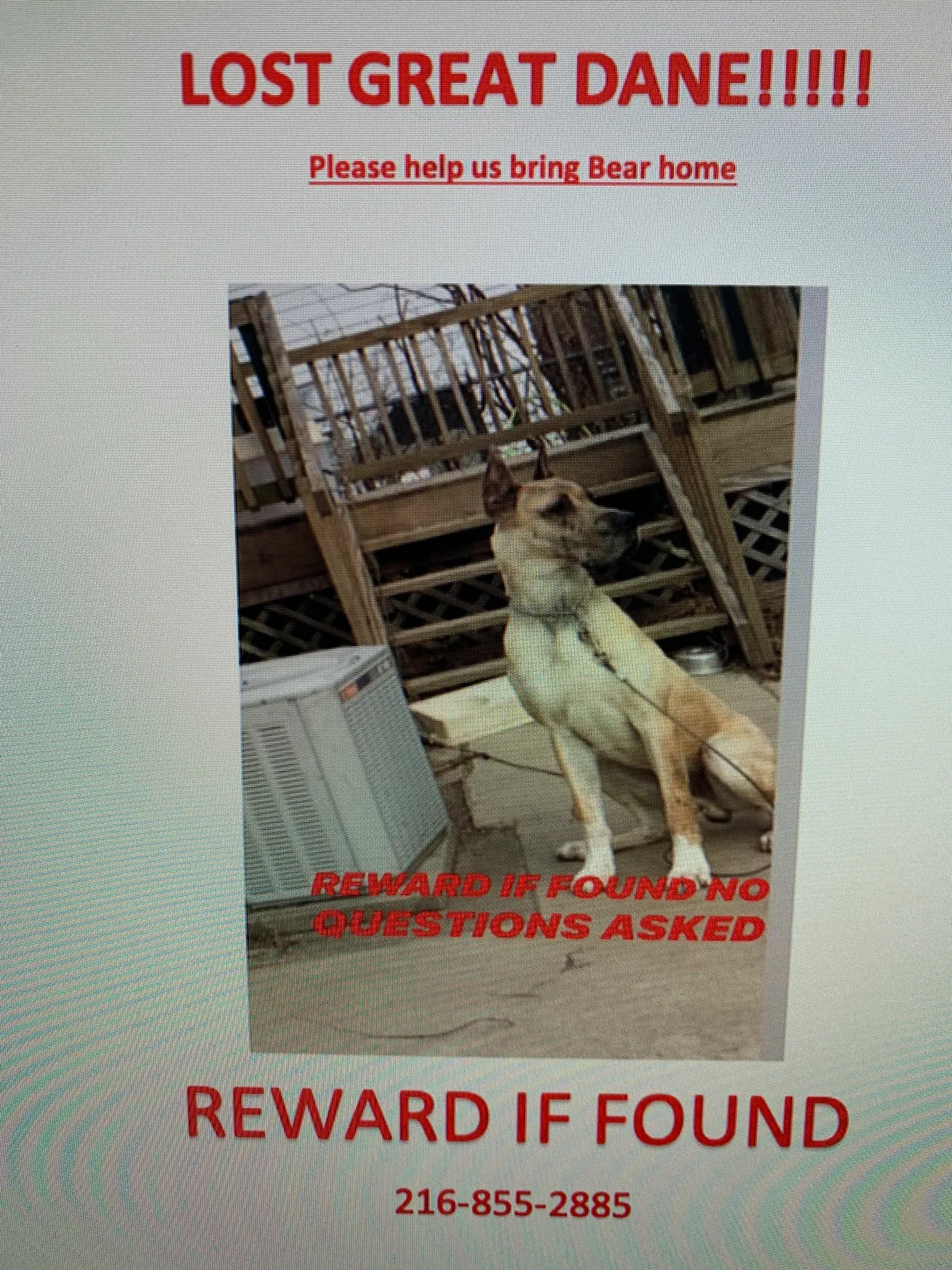 Lost dog in Cleveland, OH, 44118
