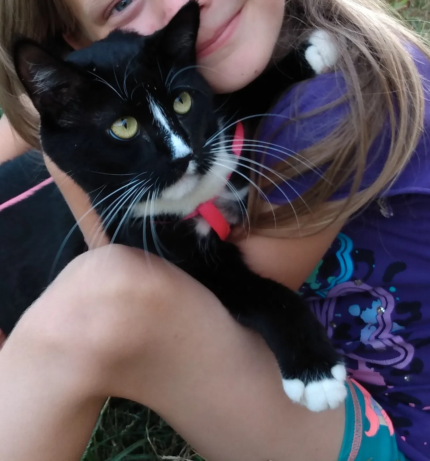 Lost cat in Henryetta, OK, 74437