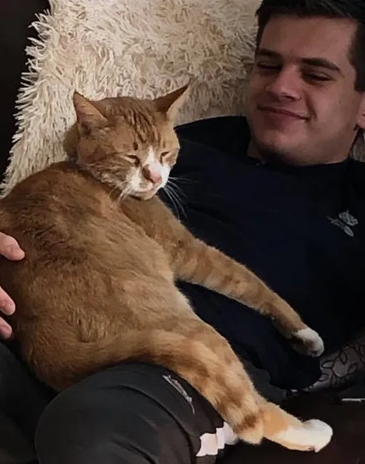 Lost cat in Parker, CO, 80134