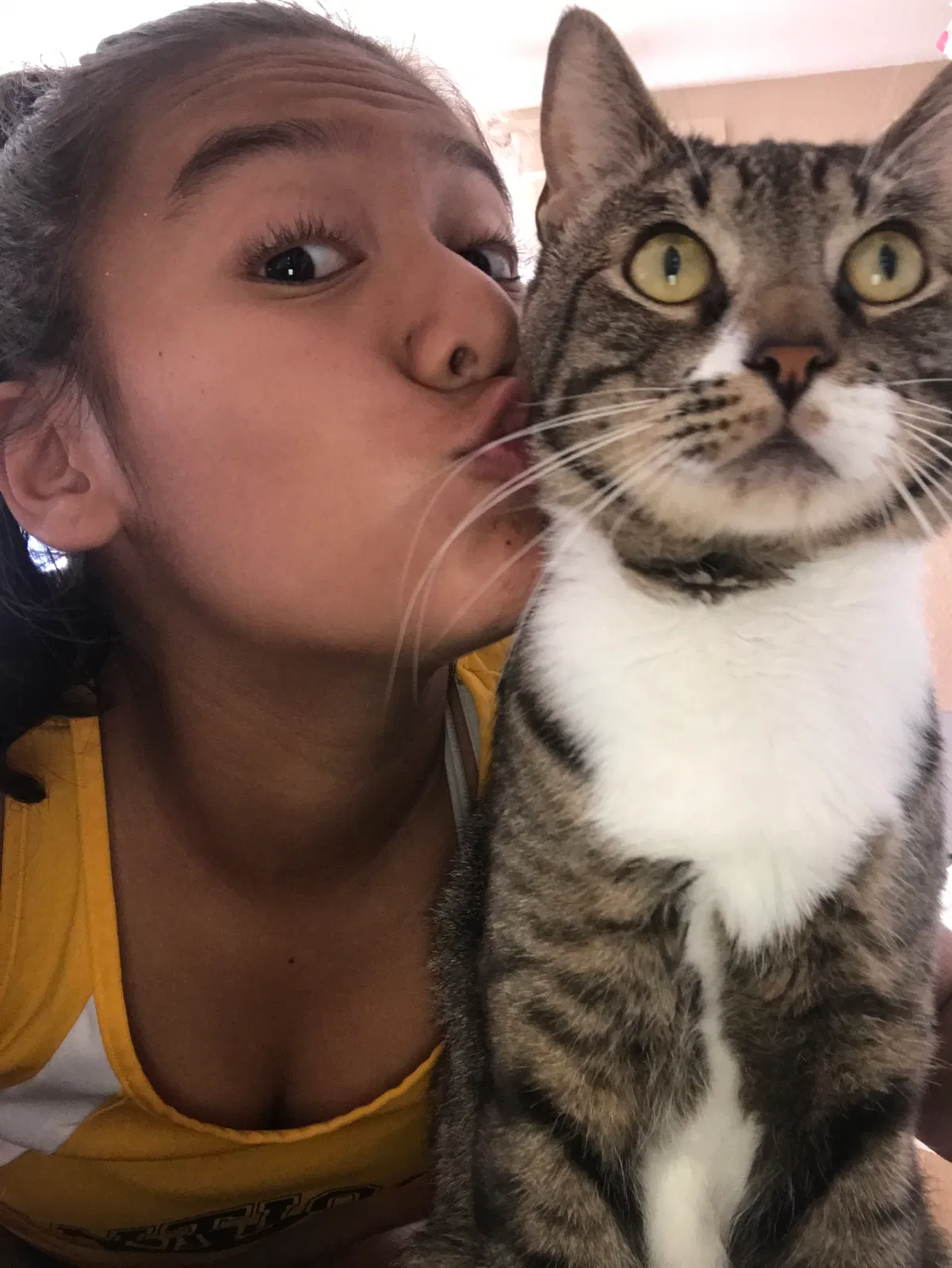 Lost cat in Antioch, CA, 94509