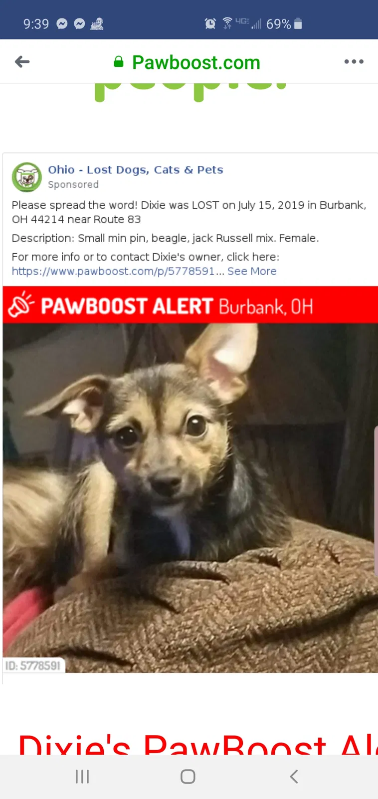 Lost dog in Burbank, OH, 44214