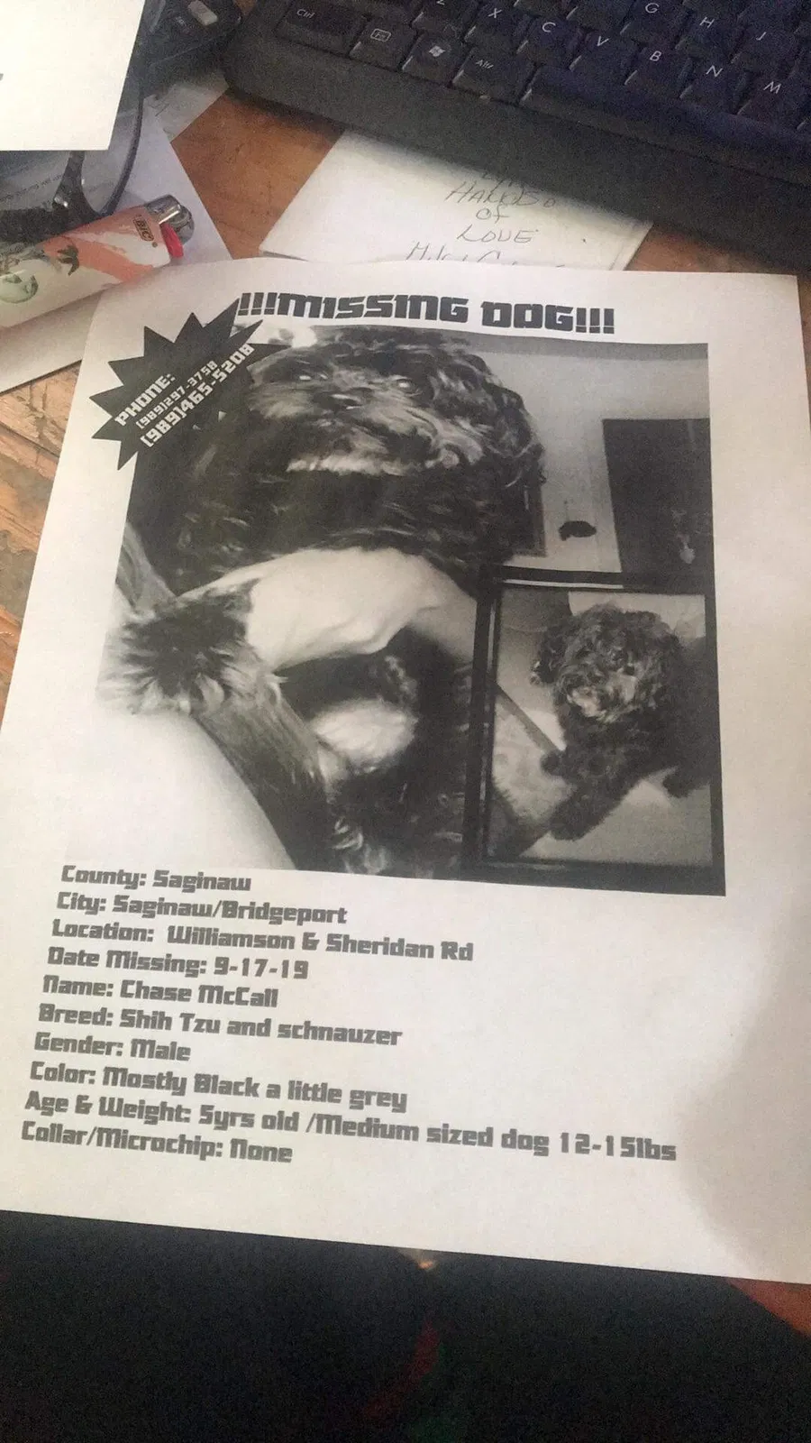 Lost dog in Saginaw, MI, 48601