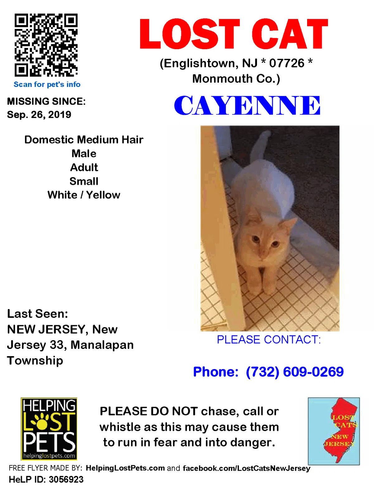 Lost cat in Englishtown, NJ, 7726