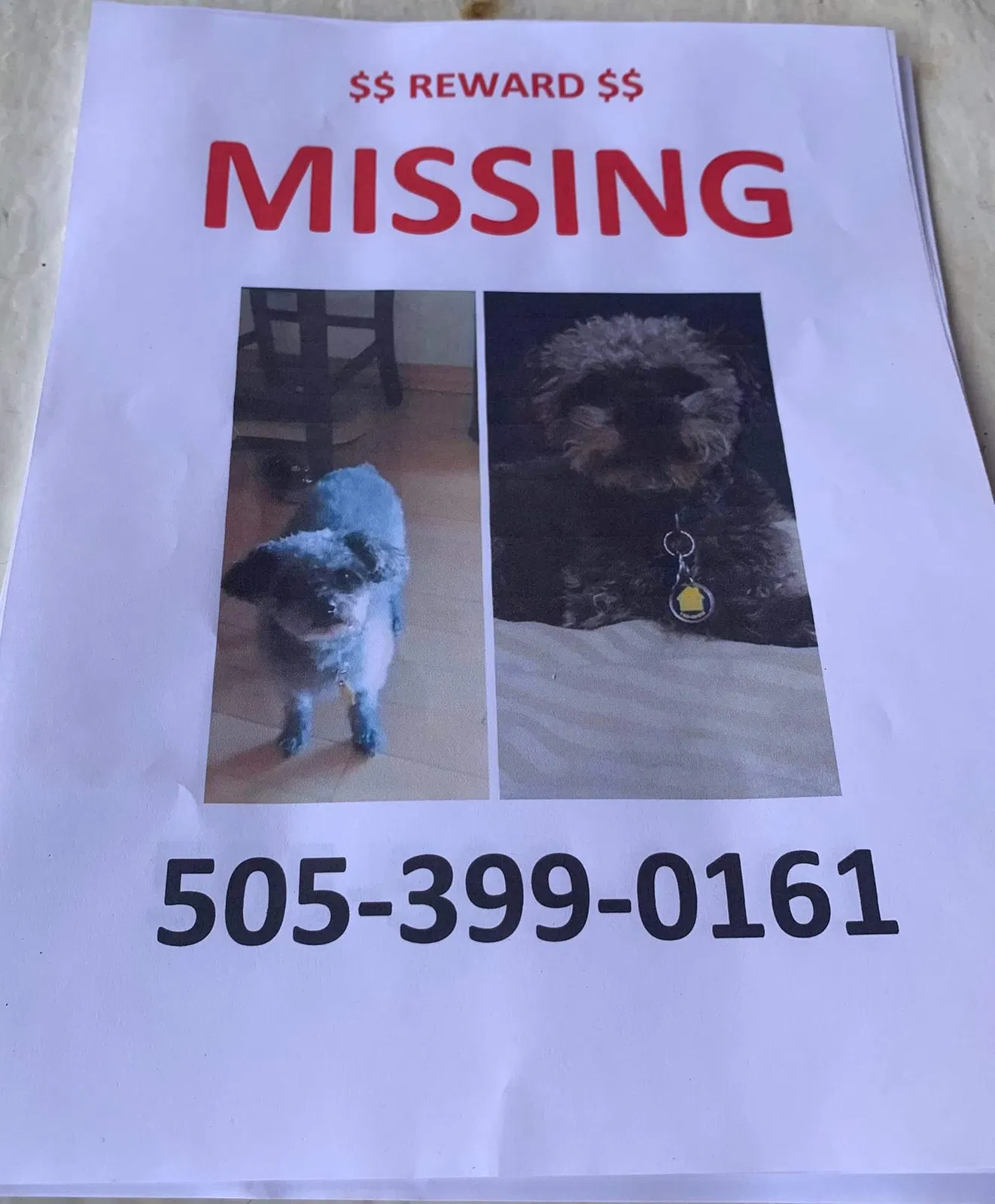 Lost dog in Scotland, SD, 57059
