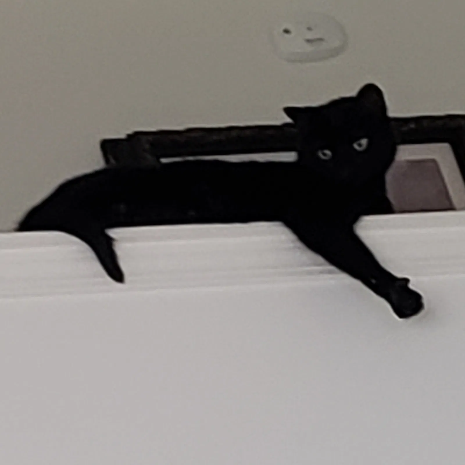 Lost cat in Hermitage, TN, 37076