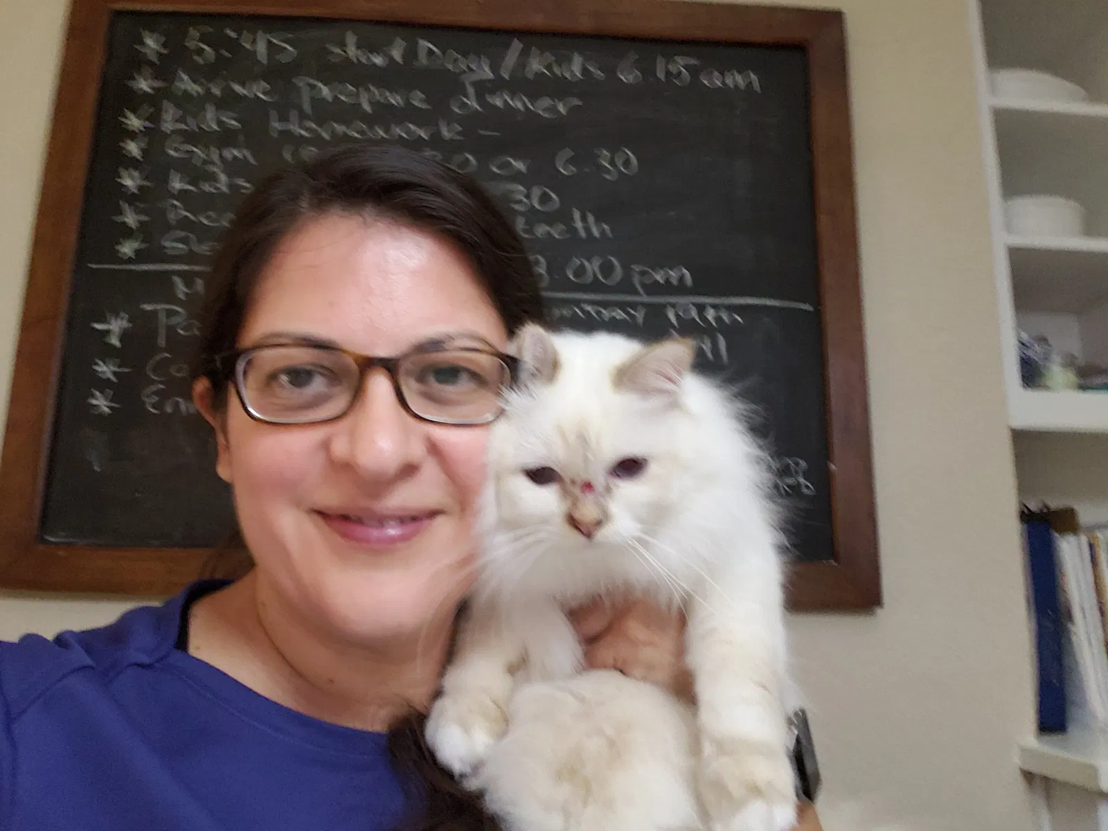Lost cat in Dallas, TX, 75248