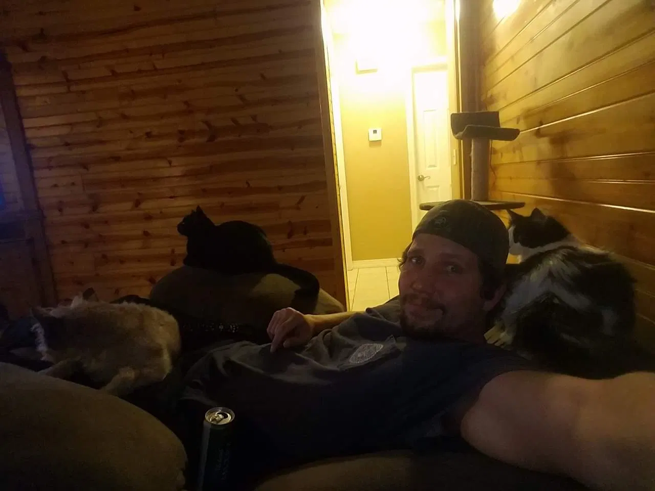 Lost cat in Burkburnett, TX, 76354