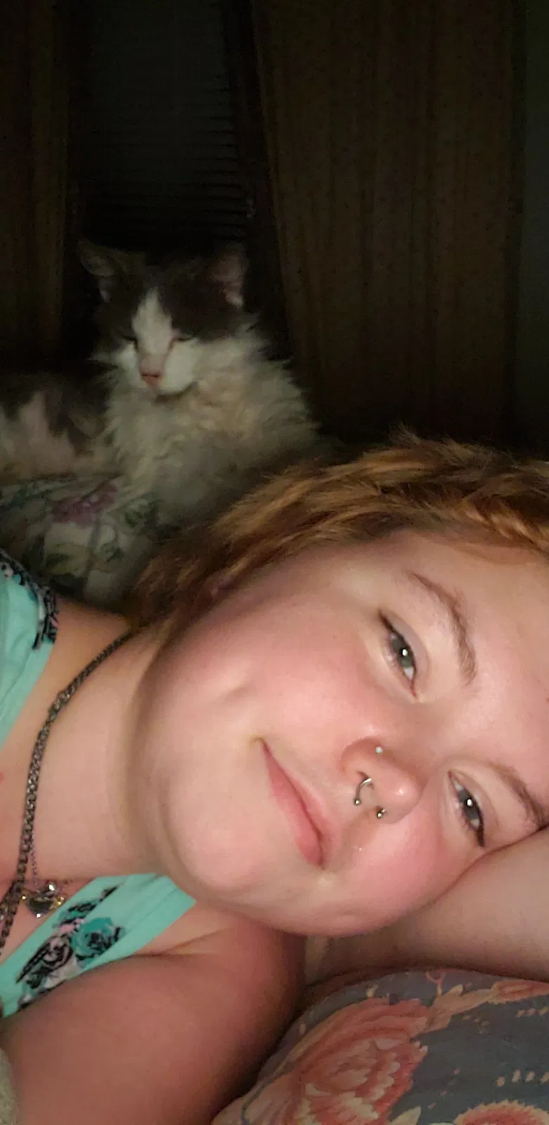 Lost cat in Dumfries, VA, 22026