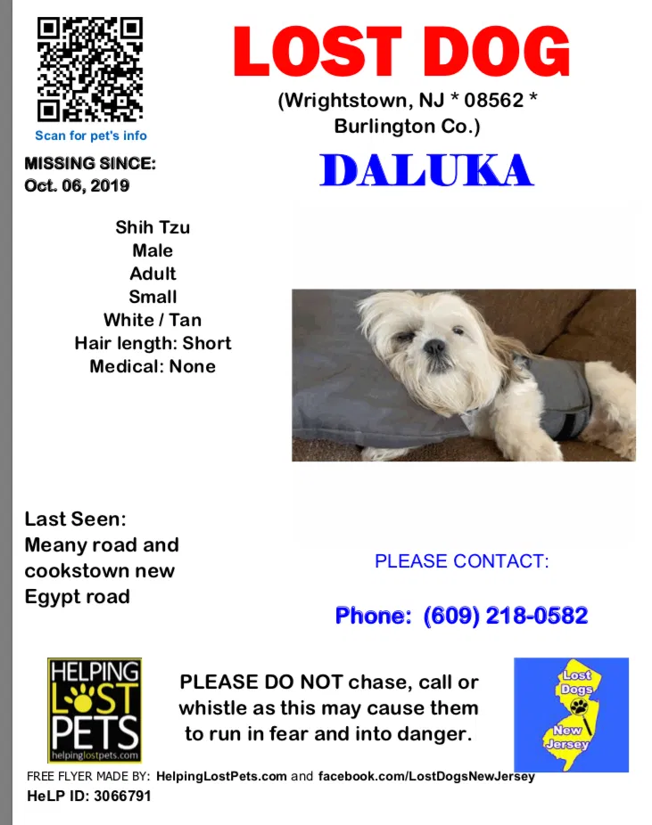 Missing Dog