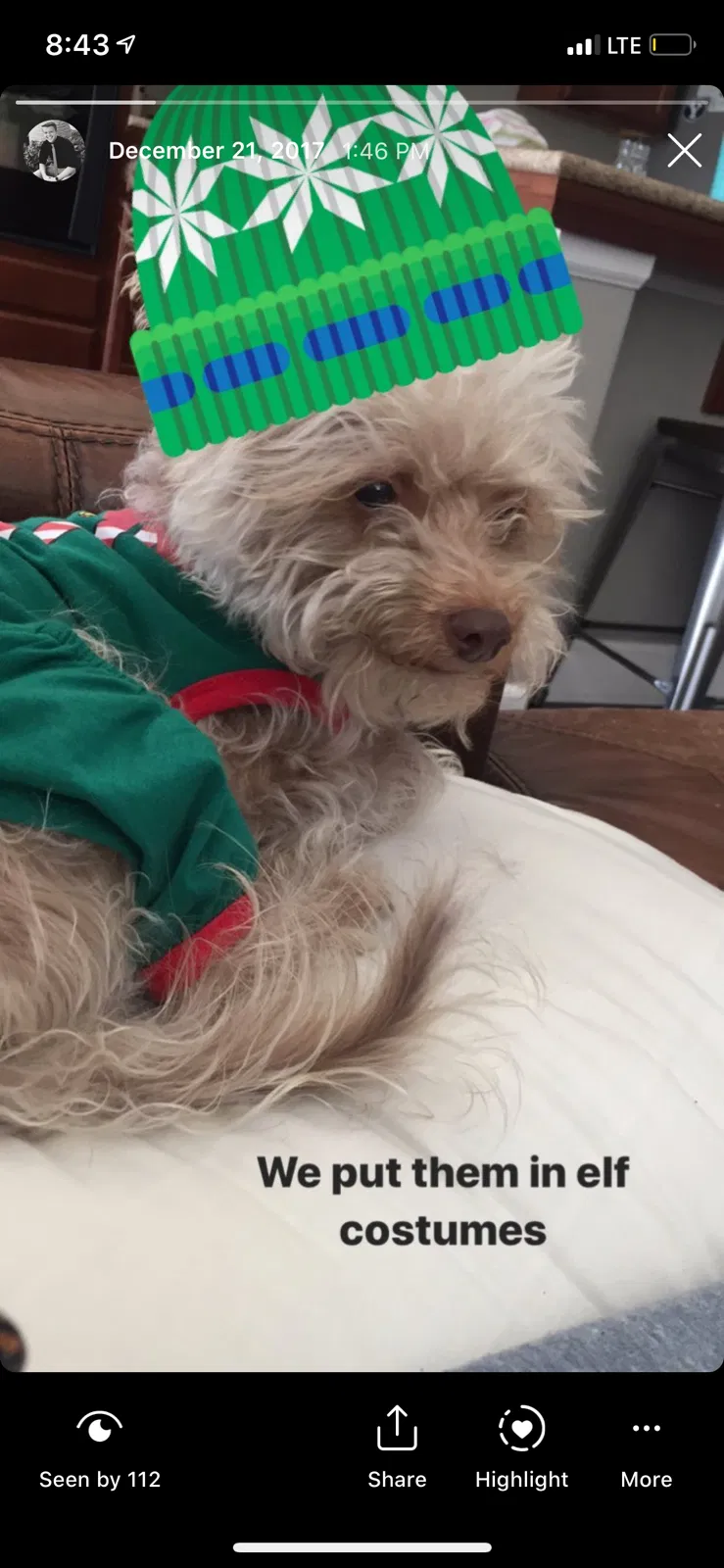 Lost dog in Bakersfield, CA, 93311