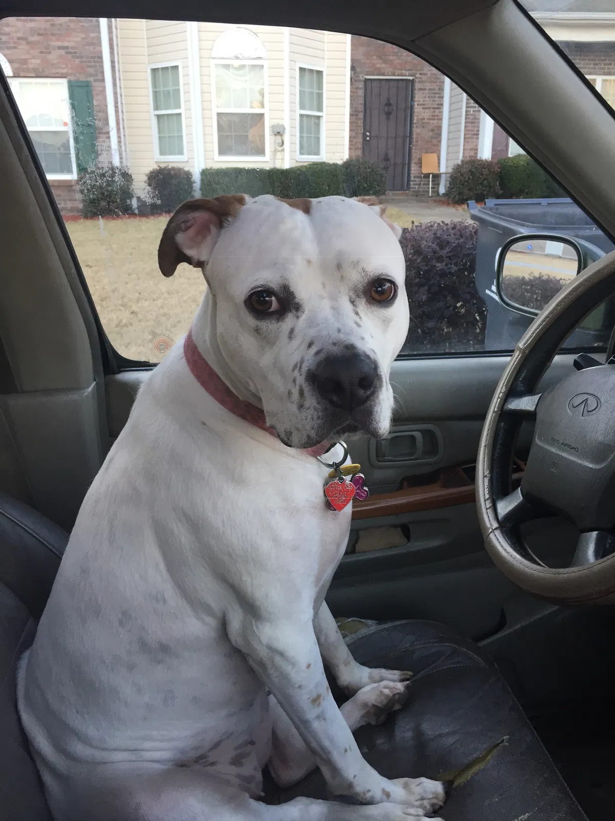 Lost dog in Riverdale, GA, 30296