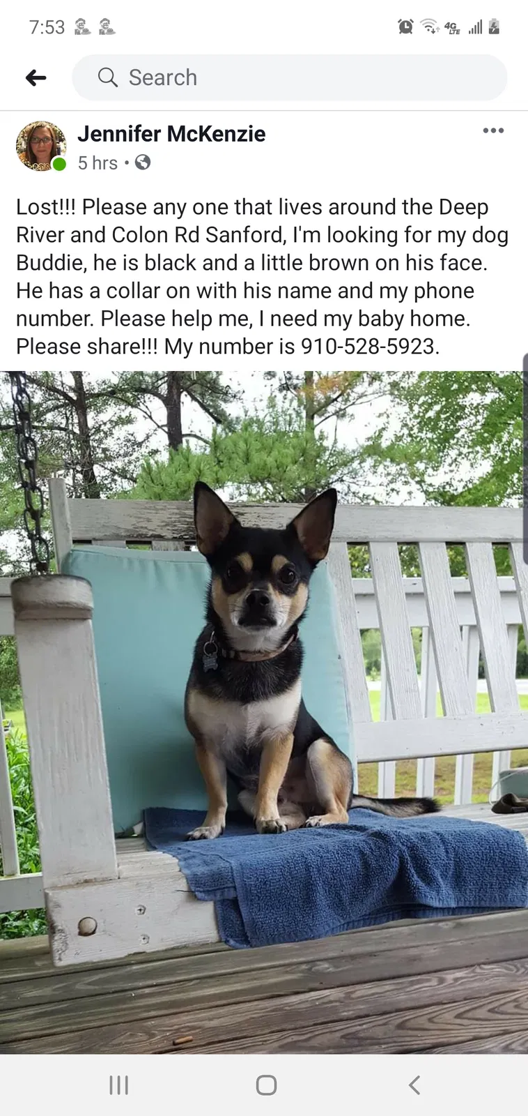 Lost dog in Sanford, NC, 27330