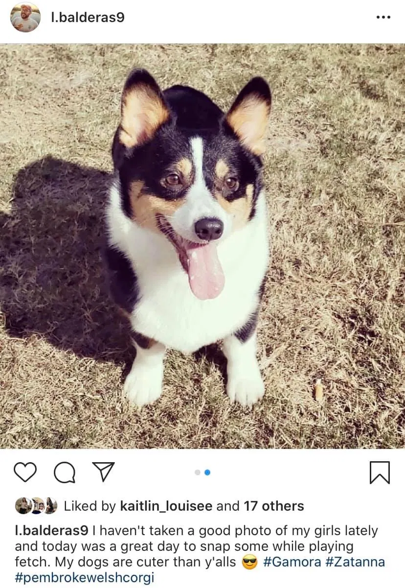 Lost dog in Pasadena, TX, 77506