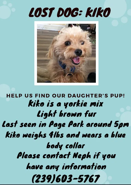 Lost dog in Fort Myers, FL, 33907