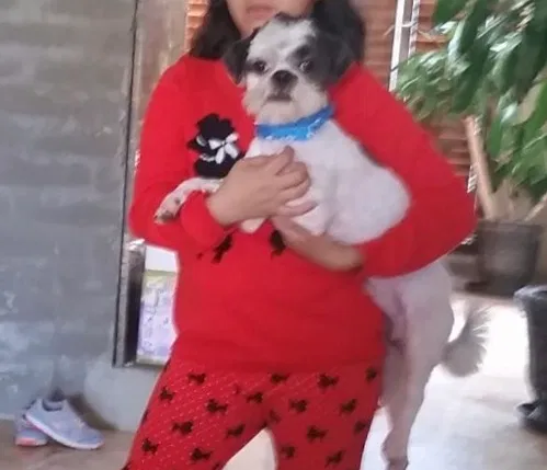 Lost dog in El Paso, TX, 79932