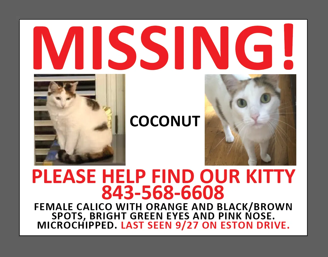 Lost cat in Goose Creek, SC, 29445