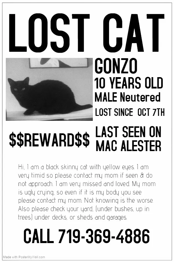Lost cat in Pueblo, CO, 81001