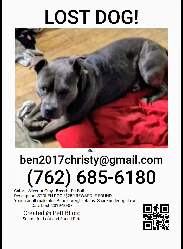 Lost dog in Augusta, GA, 30906