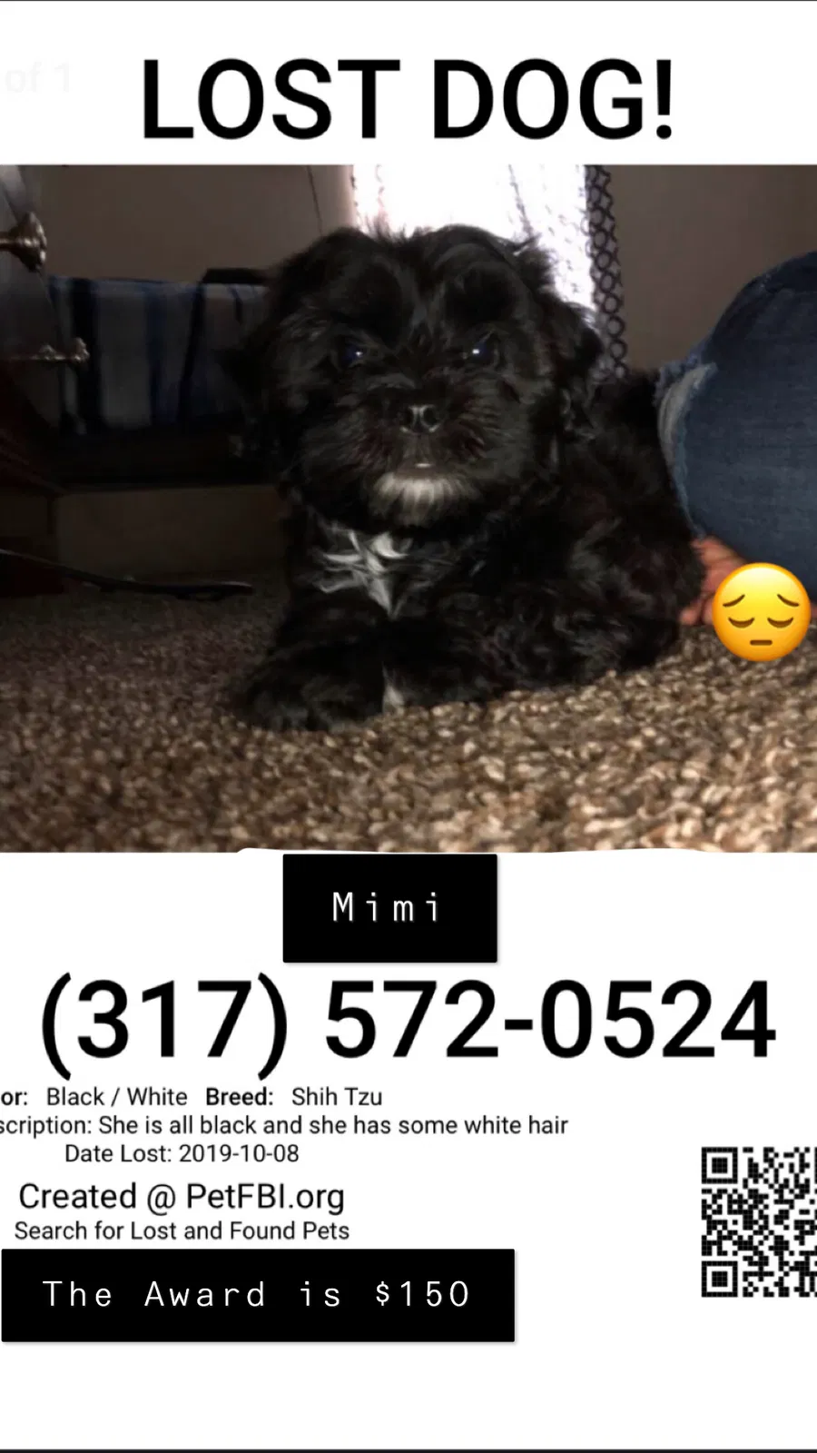 Lost dog in Indianapolis, IN, 46235