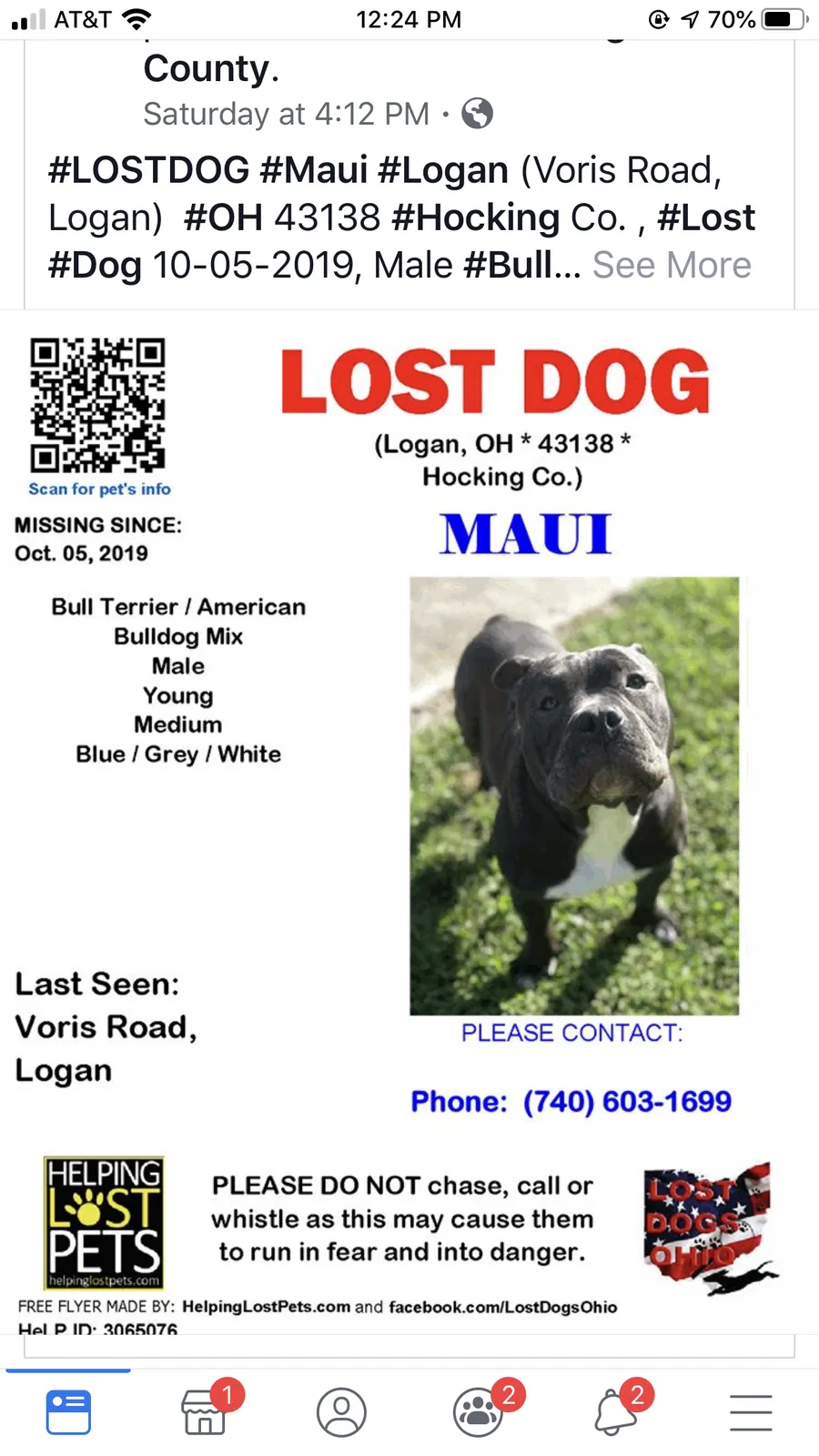 Lost dog in Logan, OH, 43138