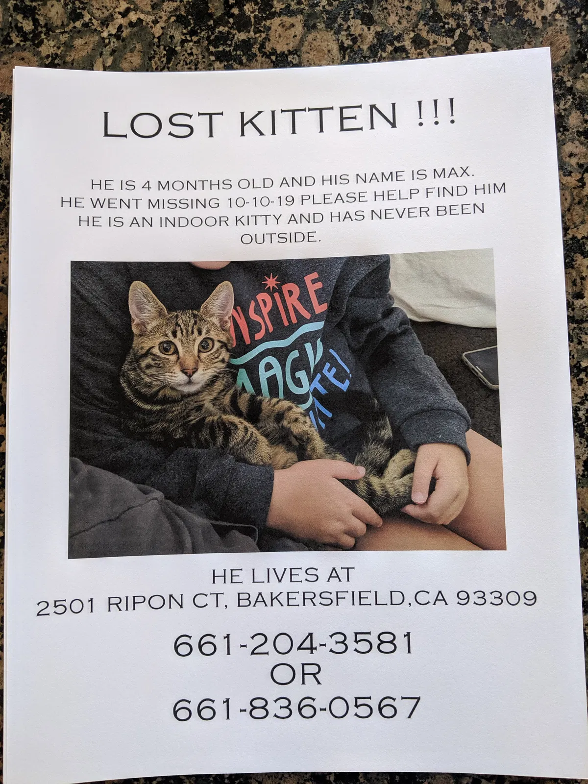 Lost cat in Bakersfield, CA, 93309