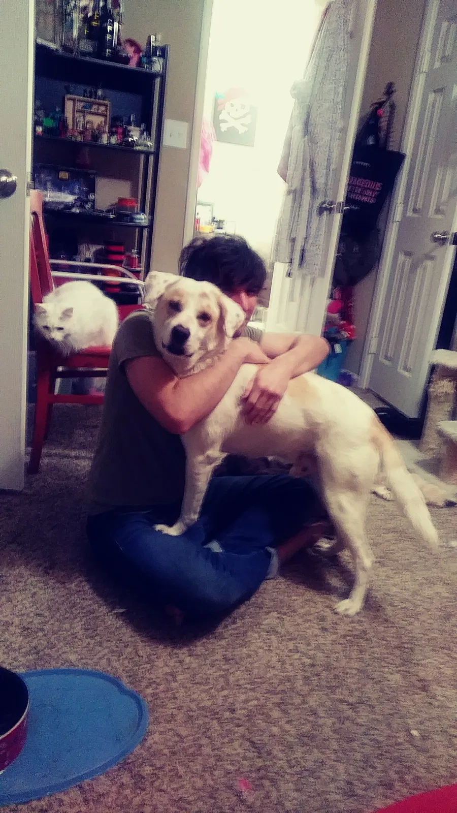Lost dog in Fort Worth, TX, 76108