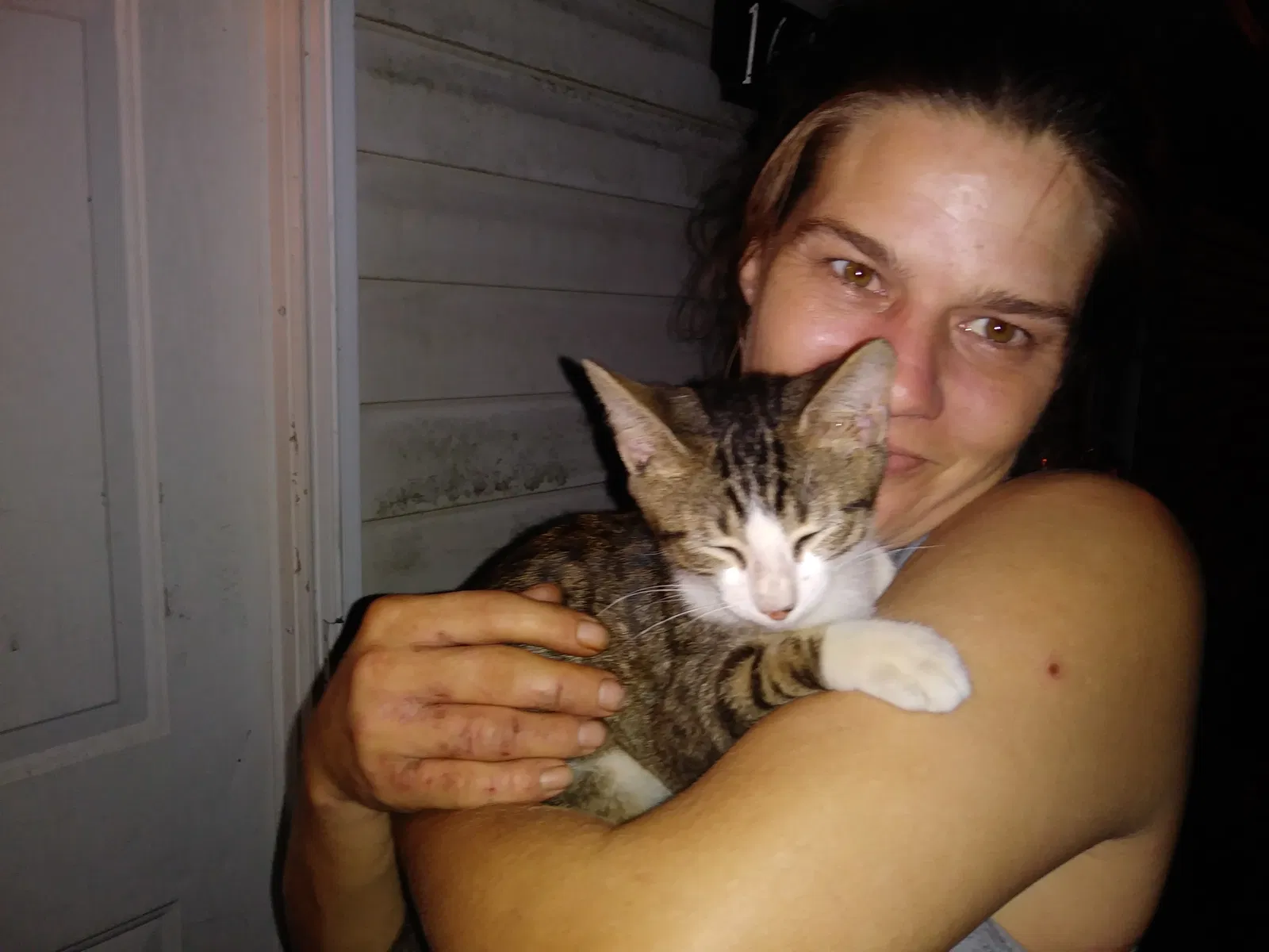 Lost cat in Spring Hill, FL, 34610