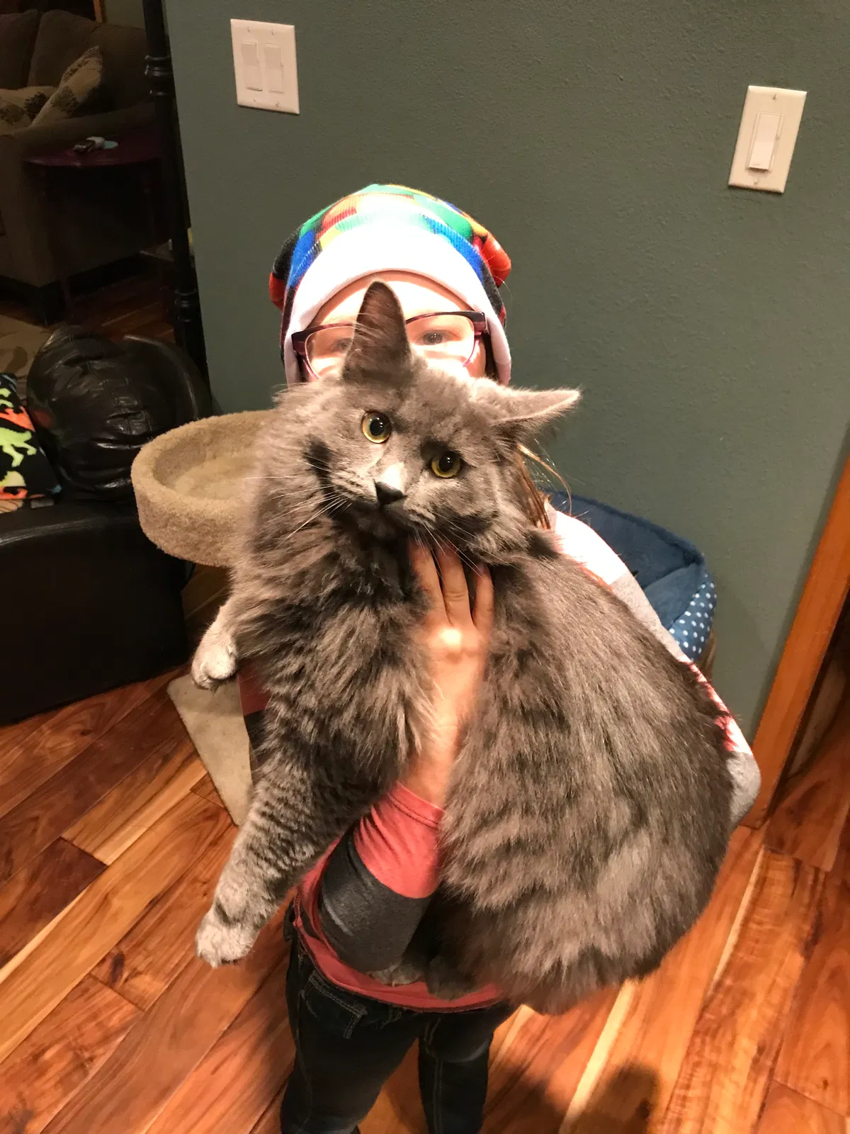 Lost cat in Bend, OR, 97702