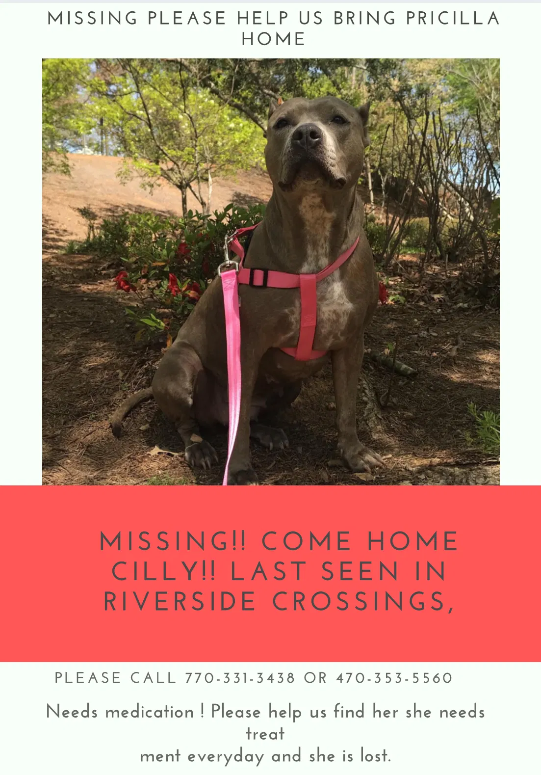 Lost dog in Roswell, GA, 30076