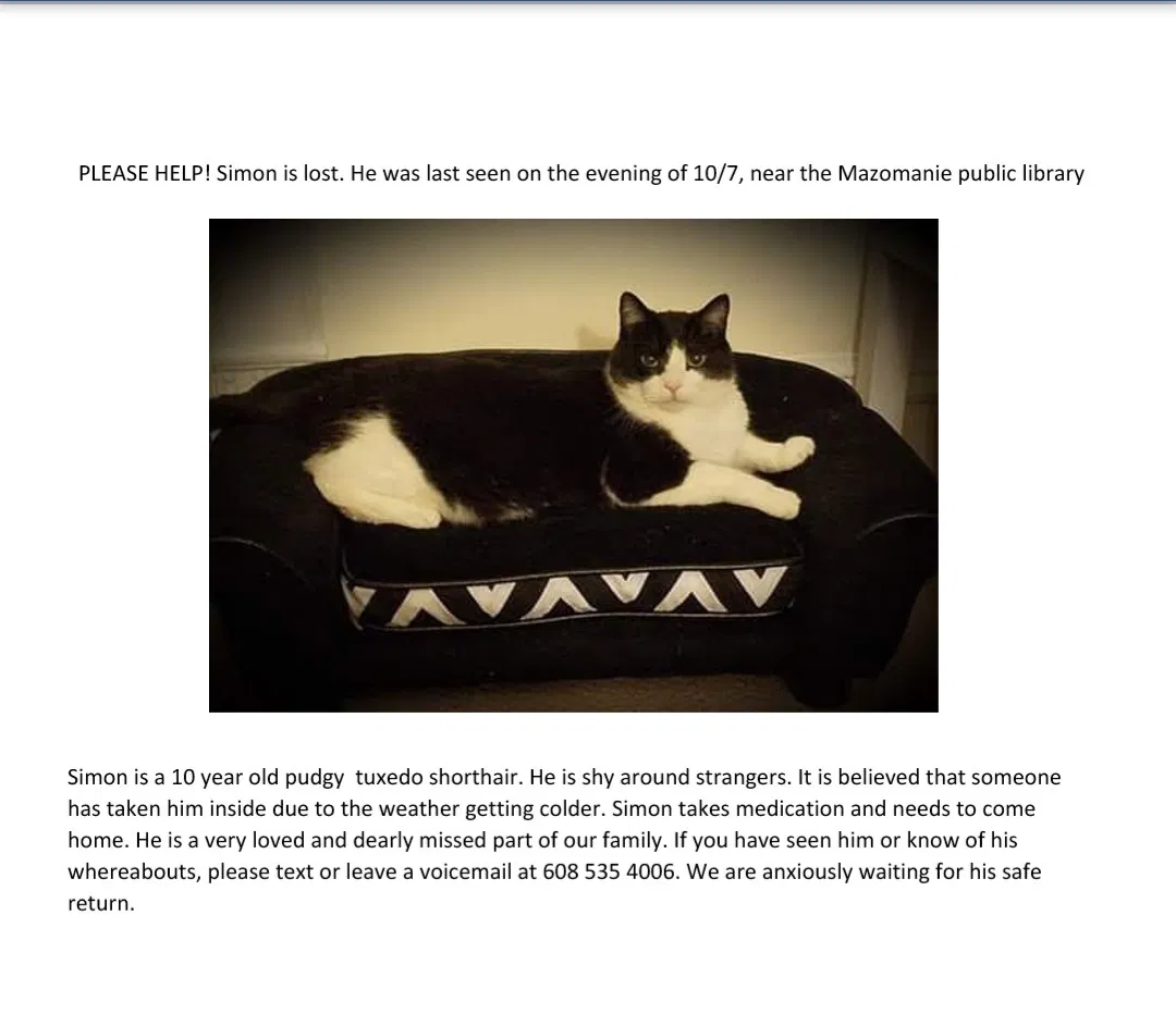 Lost cat in Mazomanie, WI, 53560