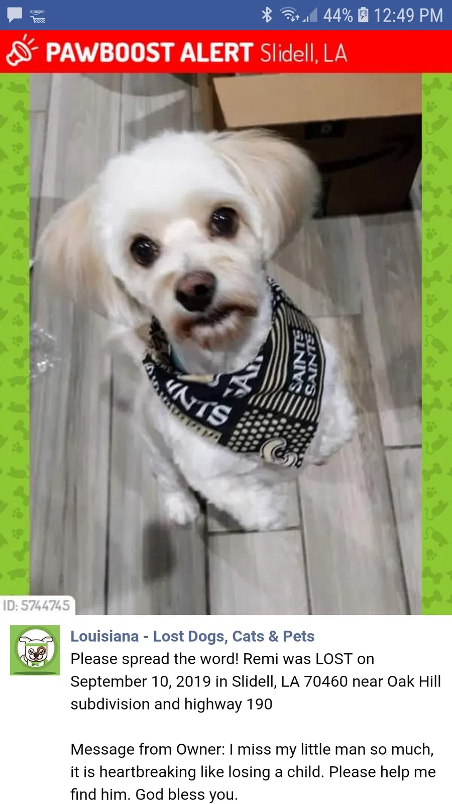 Lost dog in Slidell, LA, 70460
