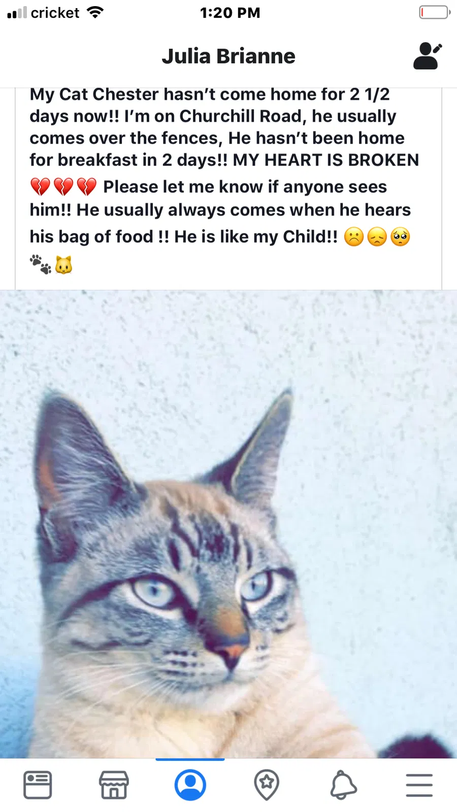 Lost cat in Sacramento, CA, 95864