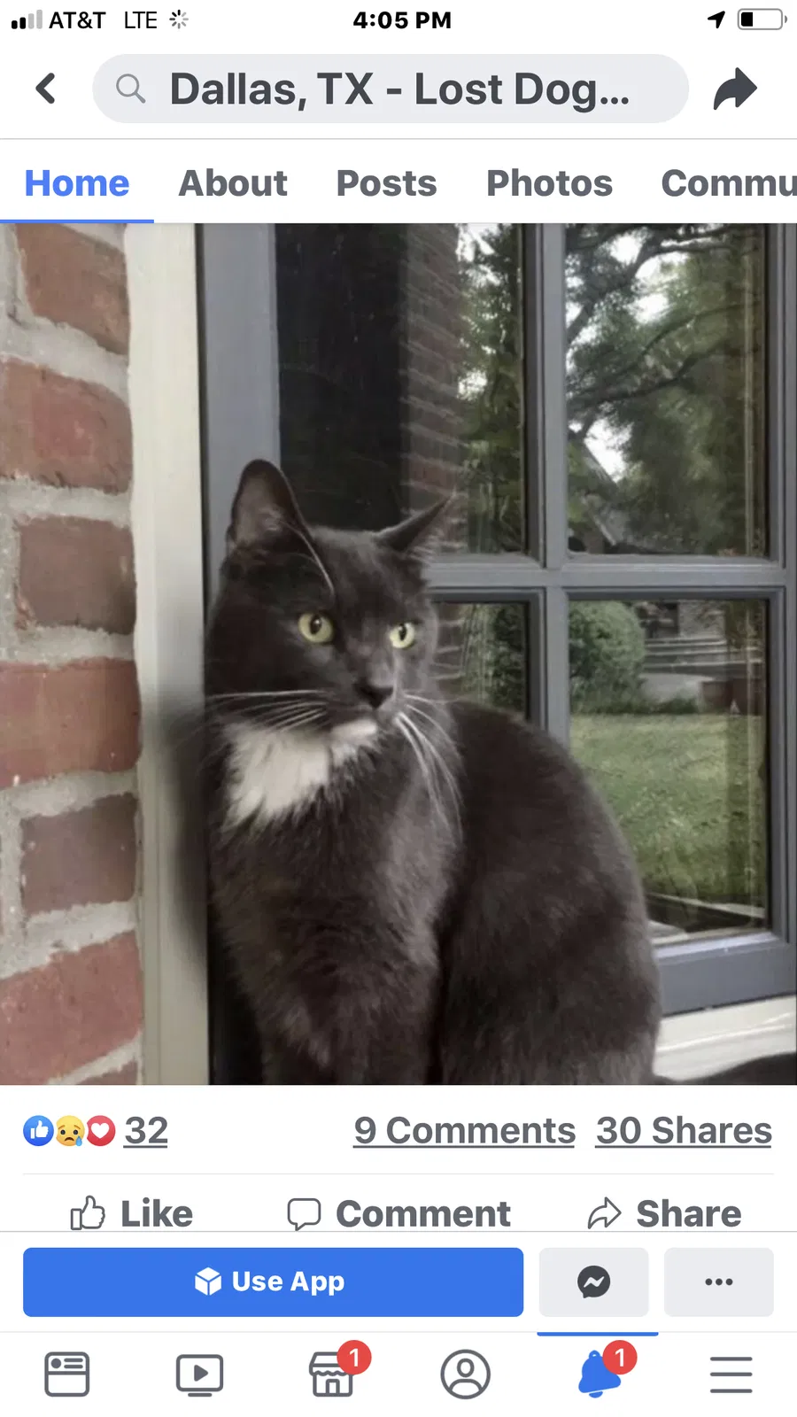 Lost cat in Dallas, TX, 75220