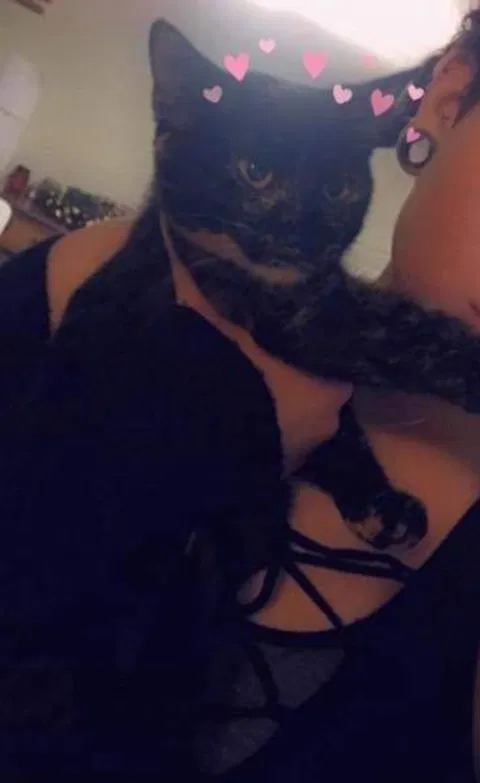 Lost cat in Wilmington, DE, 19810