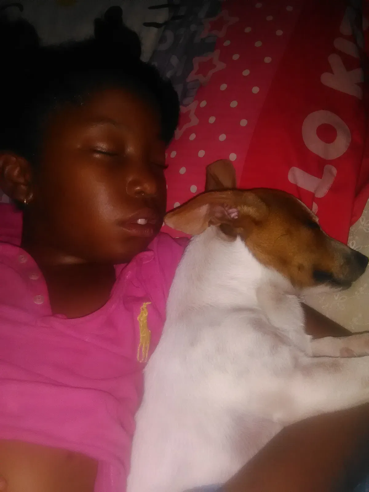 Lost dog in Augusta, GA, 30906