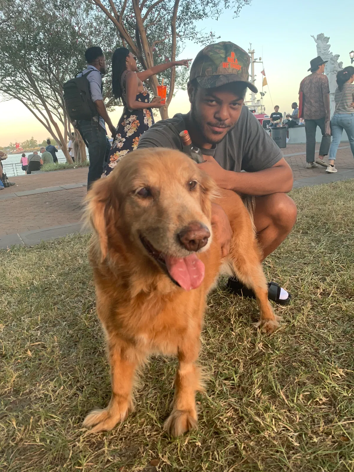 Lost dog in New Orleans, LA, 70119