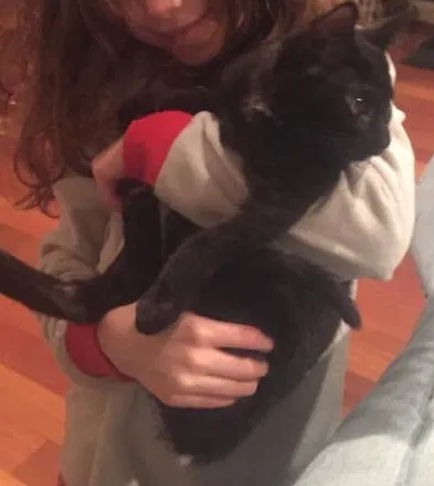 Lost cat in Monroe Township, NJ, 8831