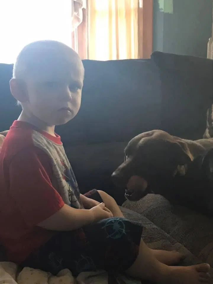 Lost dog in Cheyenne, WY, 82001
