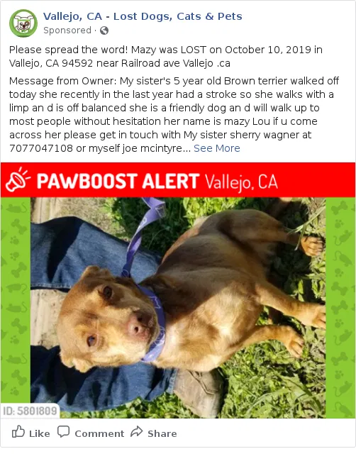 Lost dog in Vallejo, CA, 94592