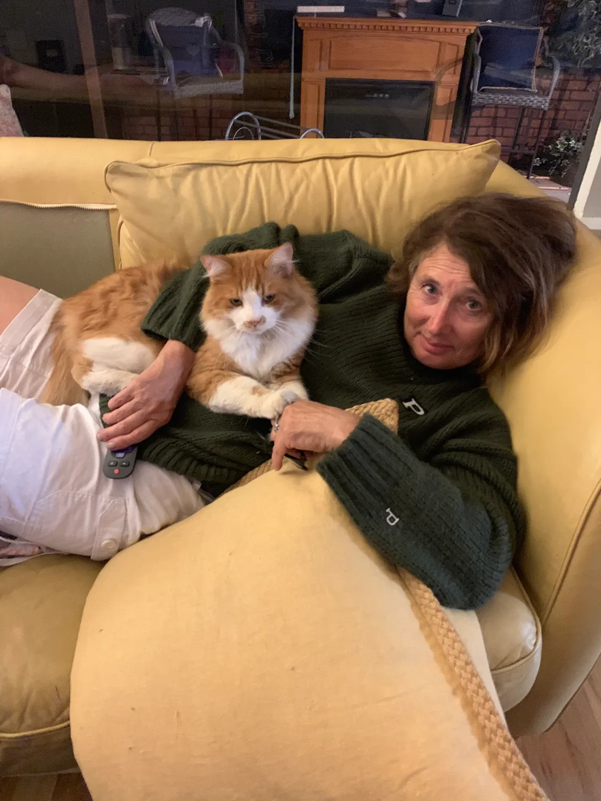Lost cat in Redding, CA, 96001