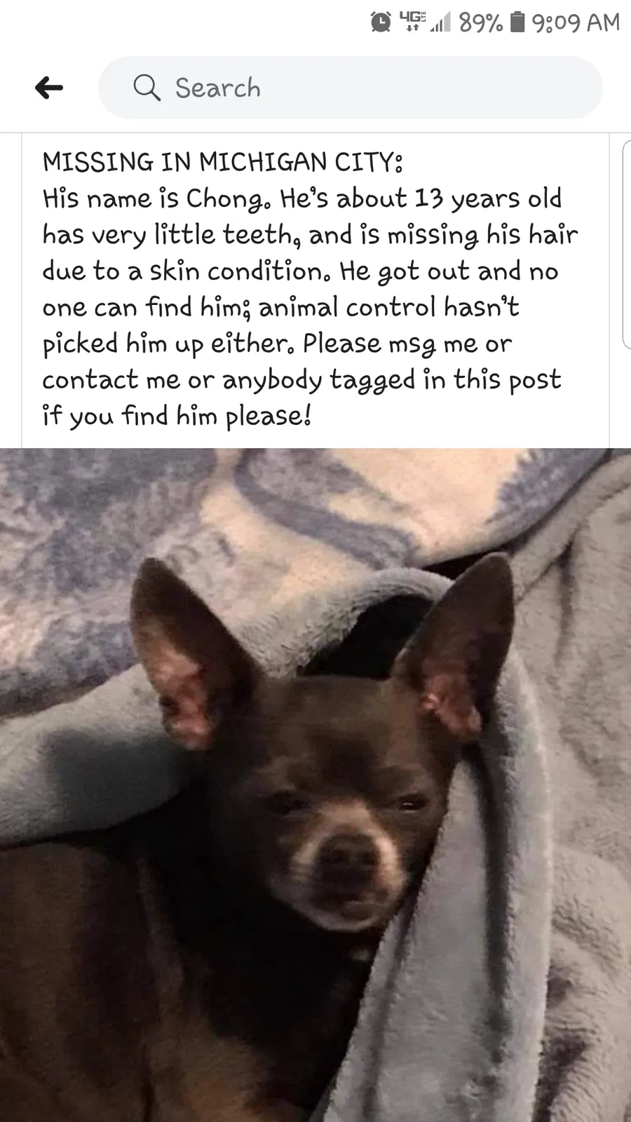 Lost dog in Michigan City, IN, 46360