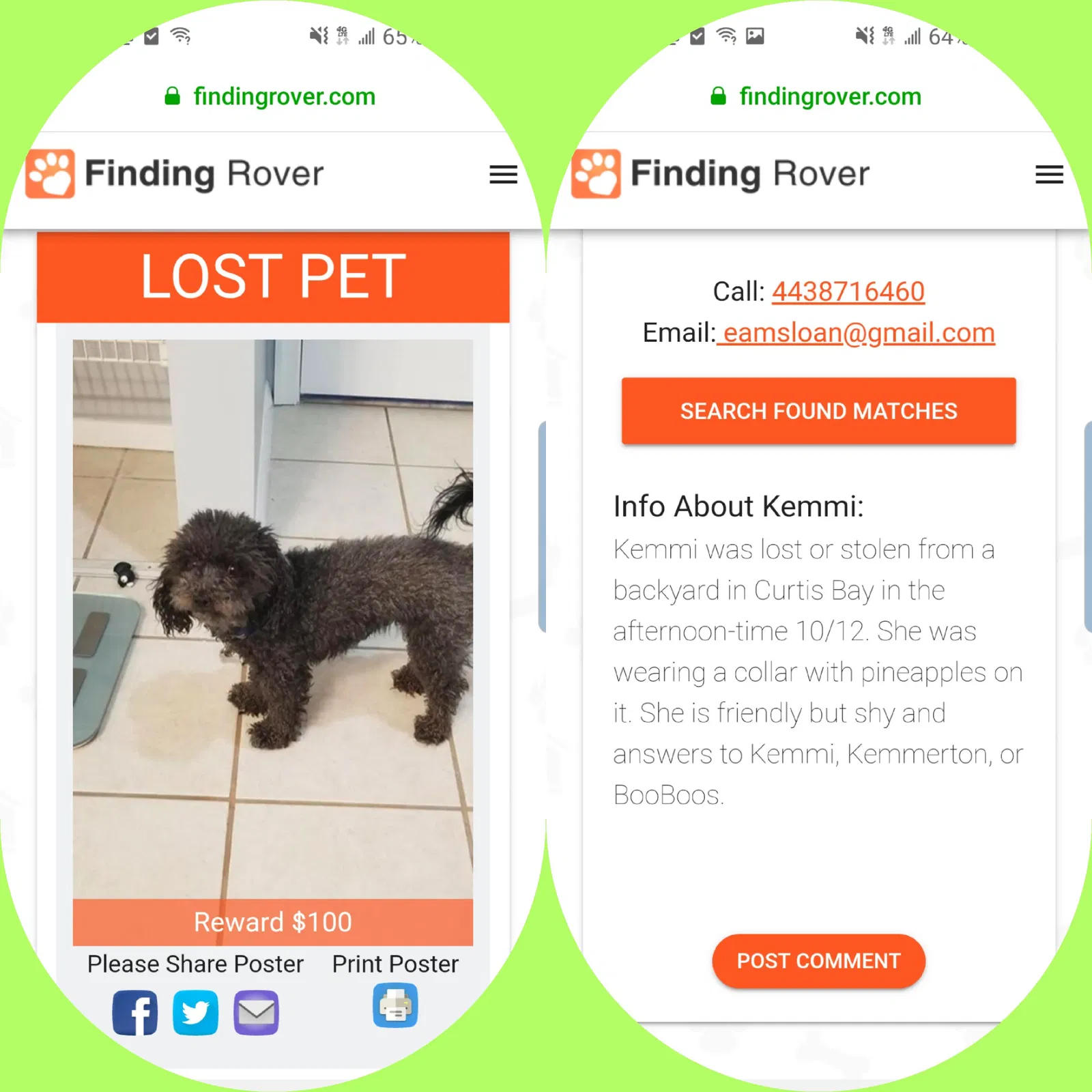 Lost dog in Curtis Bay, MD, 21226